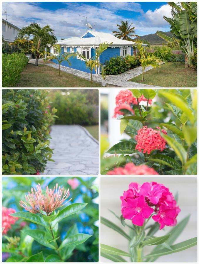 Villa Alize & Villa Aigue-Marine Sainte-Anne Exterior photo